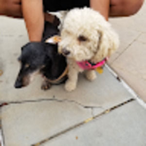 Meet your Posher, Patricia